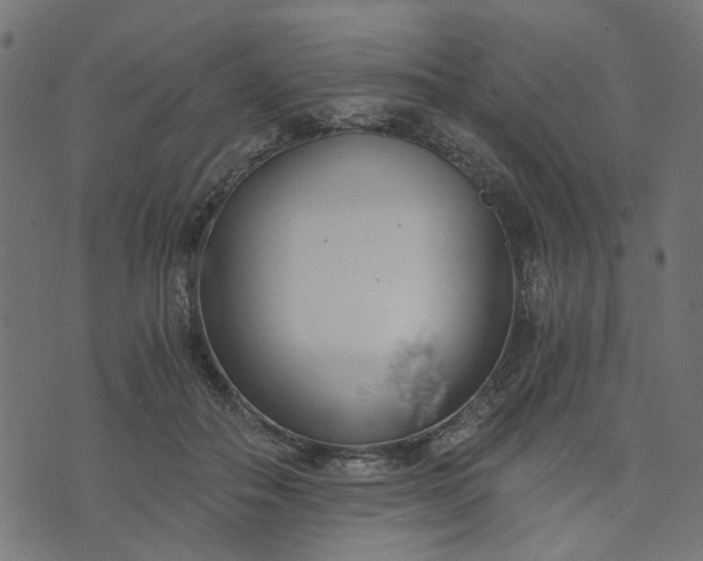 X0000073720506200608171207