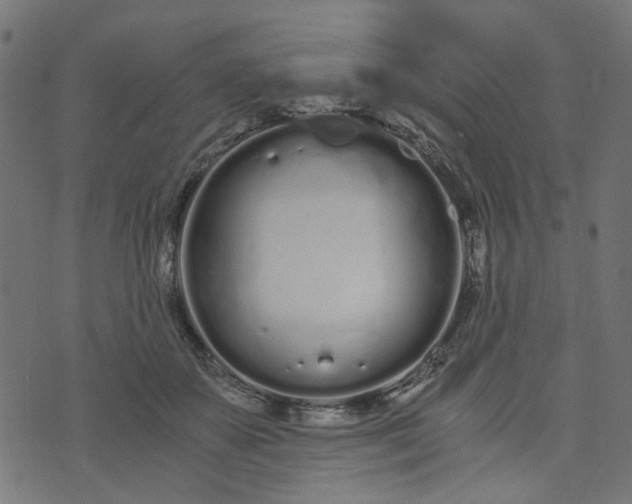 X0000073720507200608171207