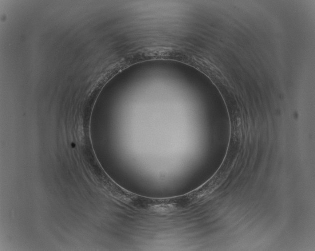 X0000073720508200608171207