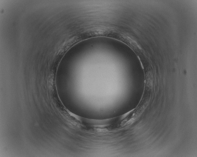 X0000073720509200608171207