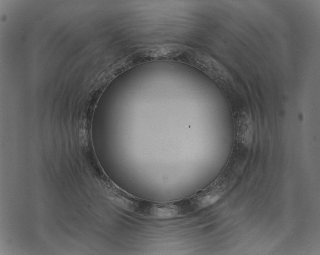 X0000073720510200608171207