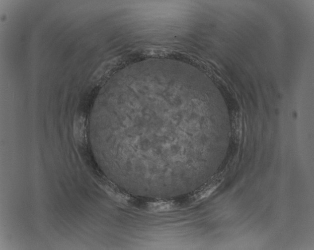 X0000073720511200608171207