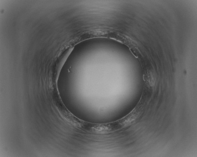 X0000073720512200608171207