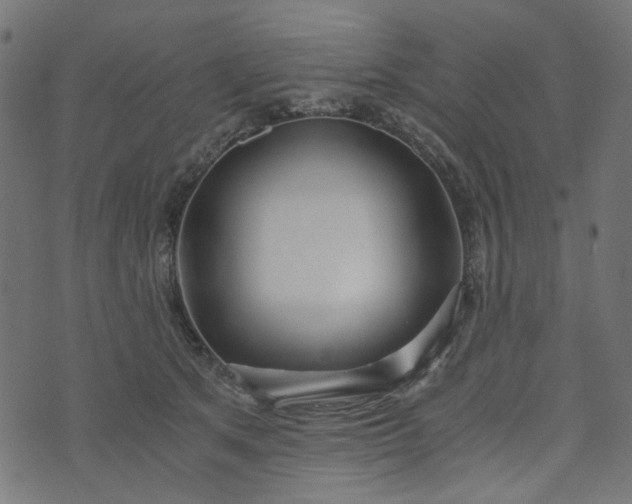 X0000073720513200608171207