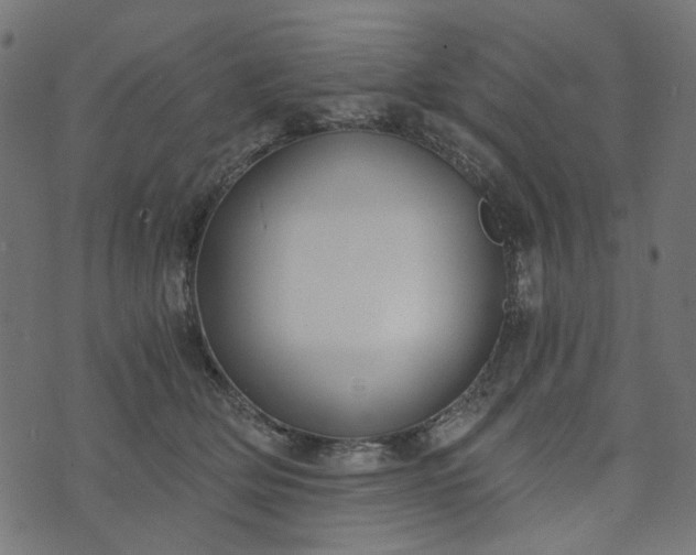 X0000073720514200608171207