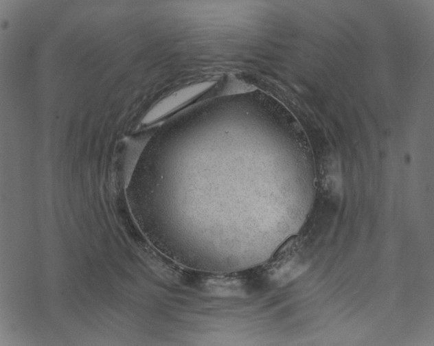 X0000073720515200608171207