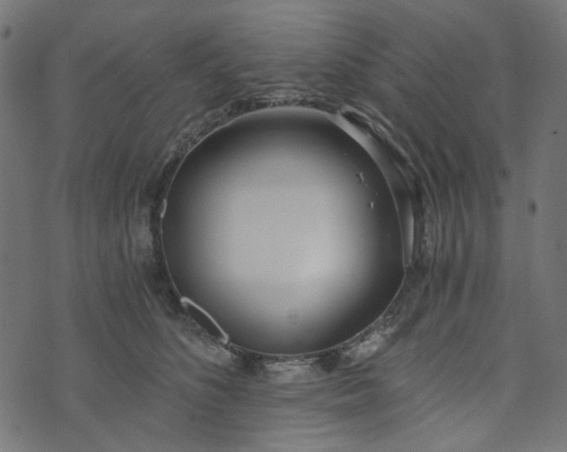 X0000073720516200608171207