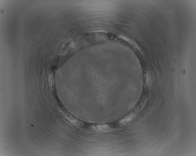 X0000073720517200608171207