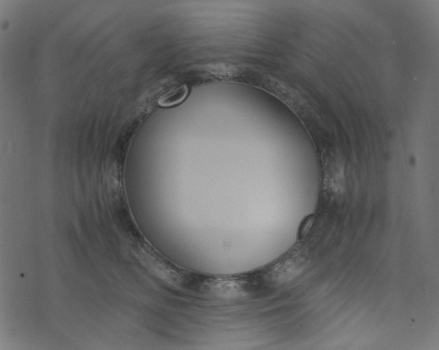 X0000073720518200608171207