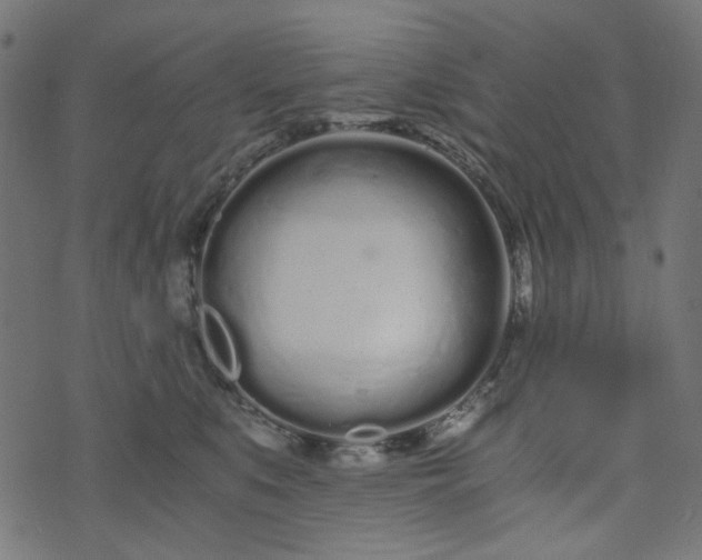 X0000073720519200608171207