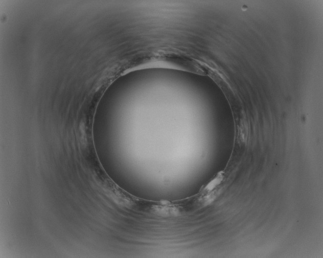 X0000073720520200608171207