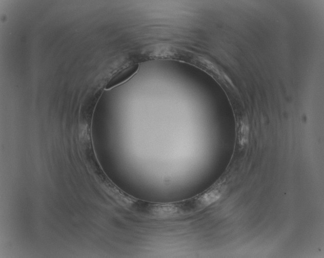 X0000073720521200608171206