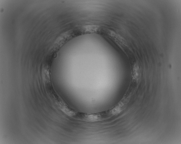 X0000073720522200608171206