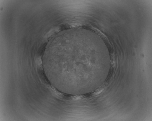 X0000073720523200608171206