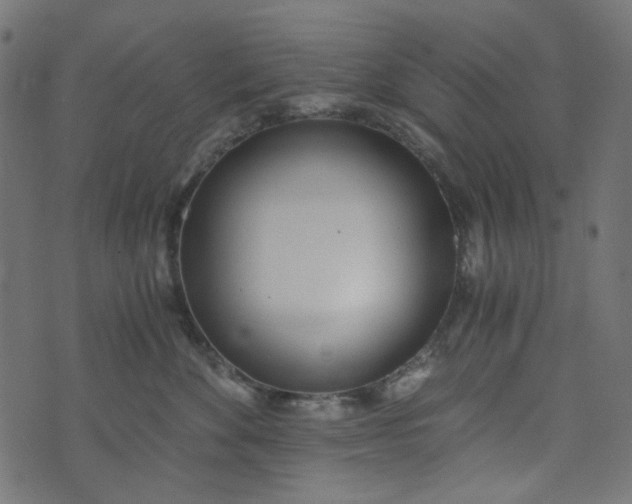 X0000073720524200608171206