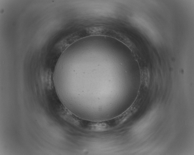 X0000073720525200608171206