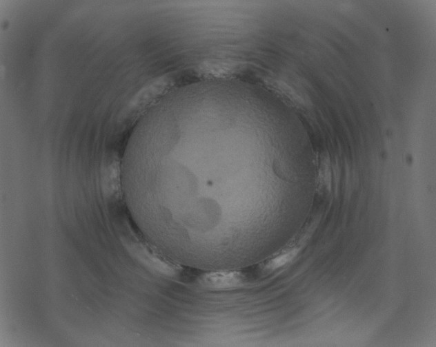 X0000073720526200608171206