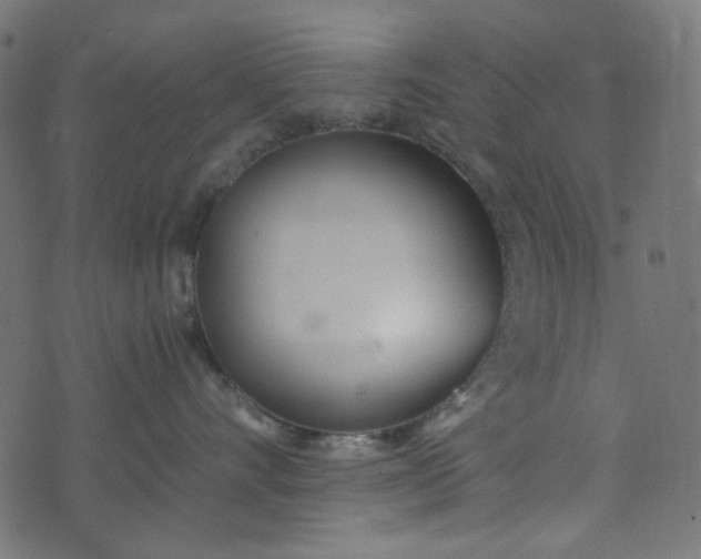 X0000073720528200608171206