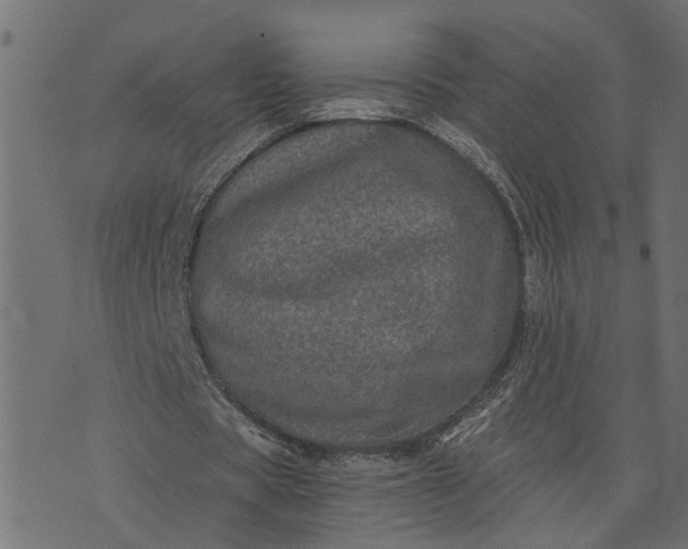 X0000073720529200608171206