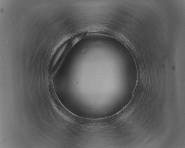 X0000073720530200608171206