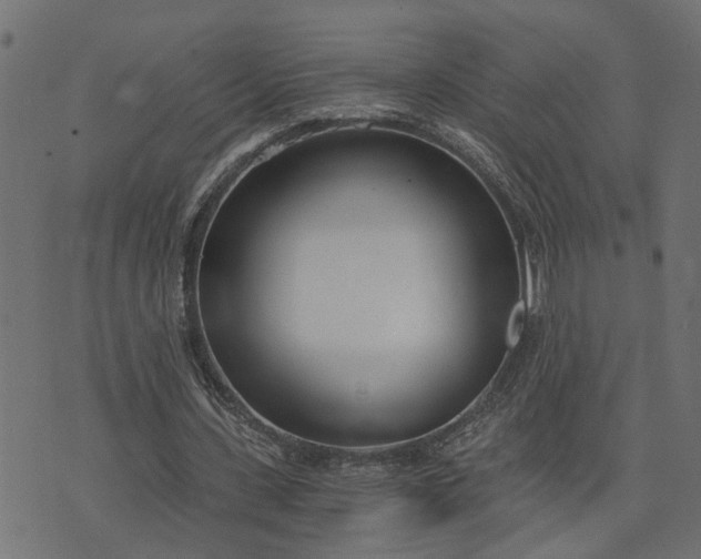 X0000073720531200608171206