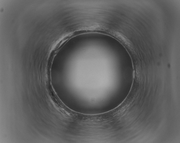 X0000073720532200608171206