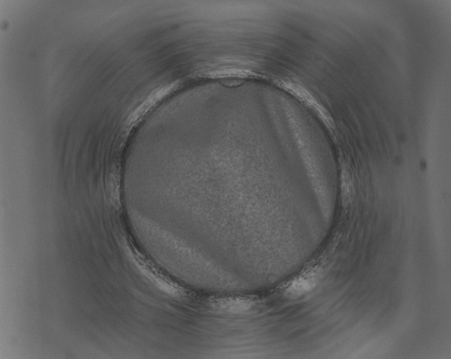 X0000073720533200608171206