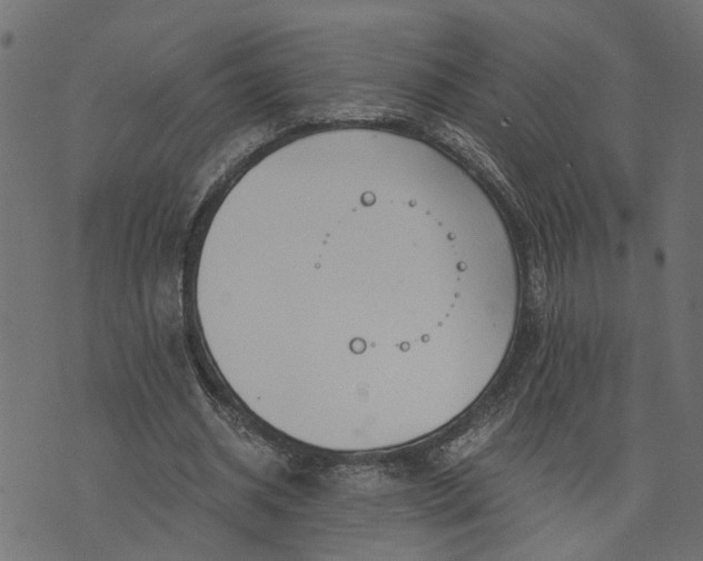 X0000073720534200608171206