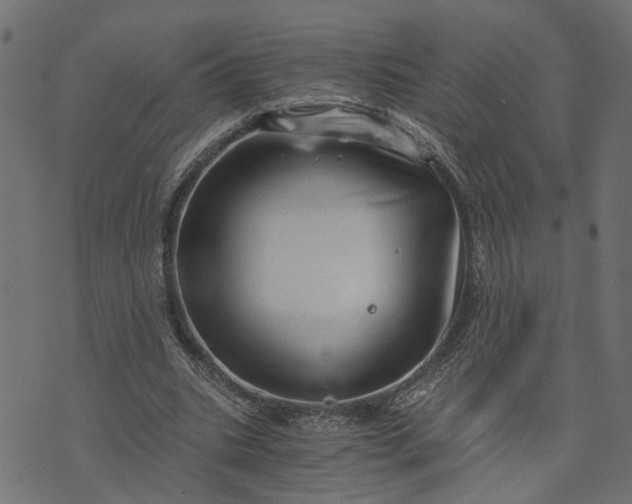 X0000073720535200608171206