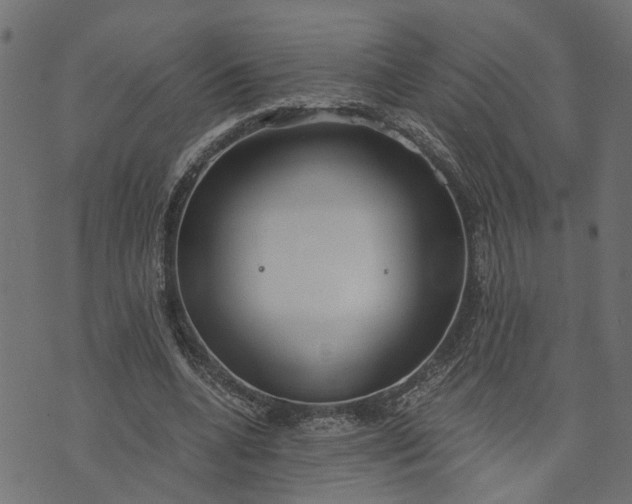 X0000073720536200608171206