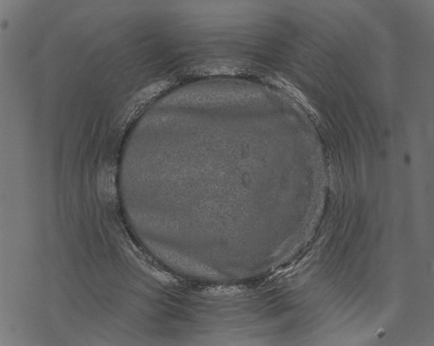 X0000073720537200608171206