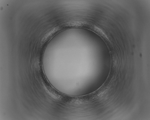 X0000073720538200608171206