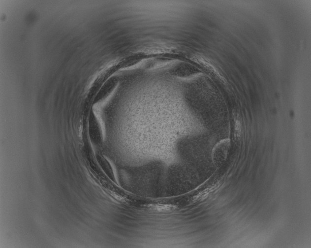 X0000073720539200608171206