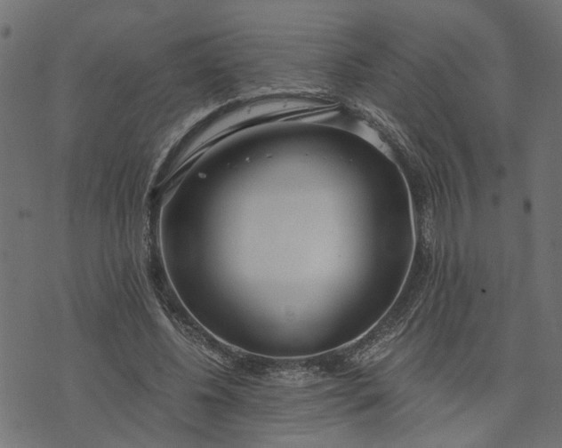 X0000073720540200608171206