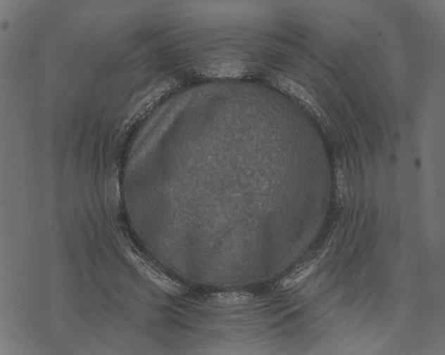 X0000073720541200608171206