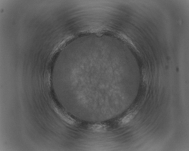 X0000073720542200608171206