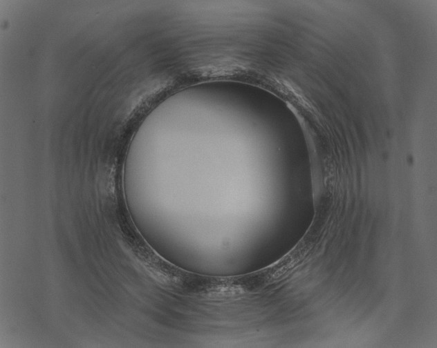 X0000073720543200608171206