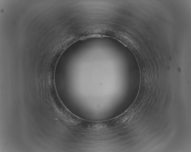 X0000073720546200608171206