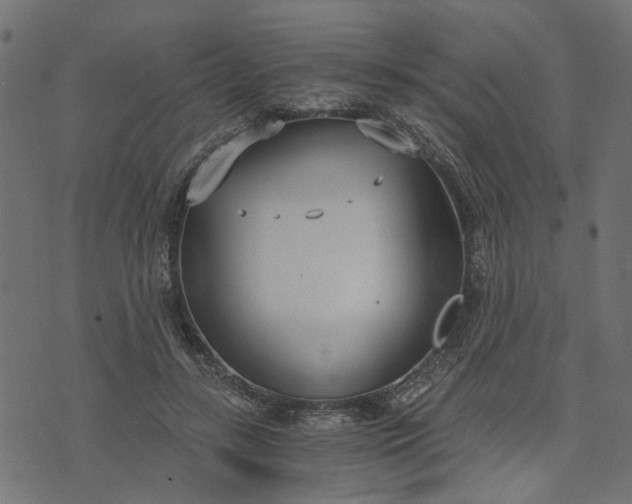 X0000073720547200608171206