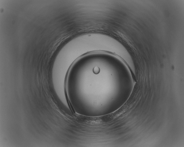 X0000073720548200608171206