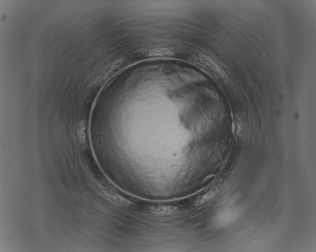 X0000073720549200608171206