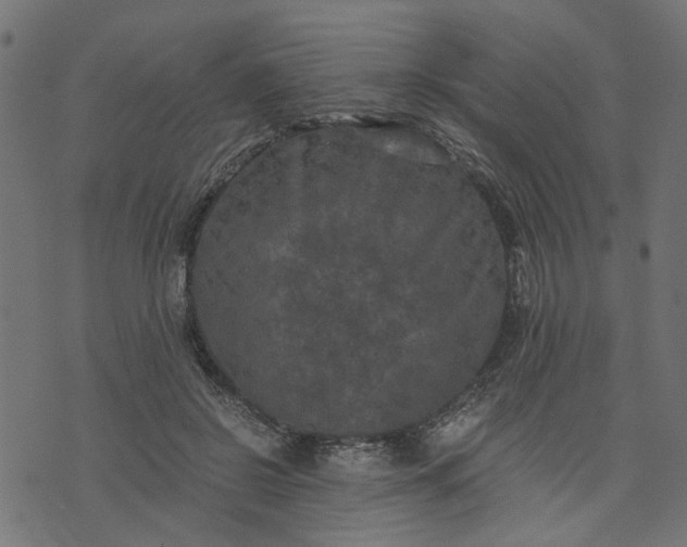 X0000073720550200608171206