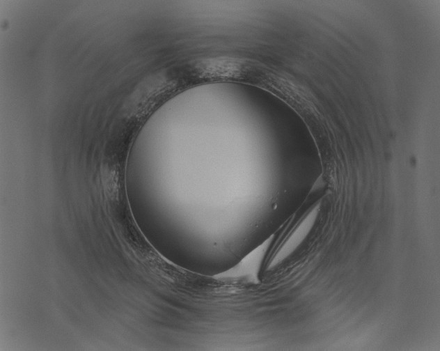 X0000073720551200608171206