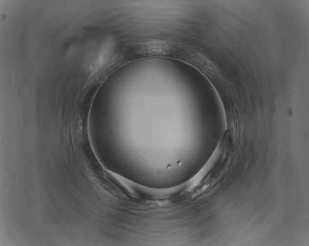 X0000073720552200608171206