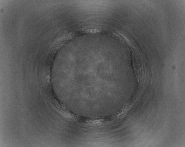 X0000073720553200608171206