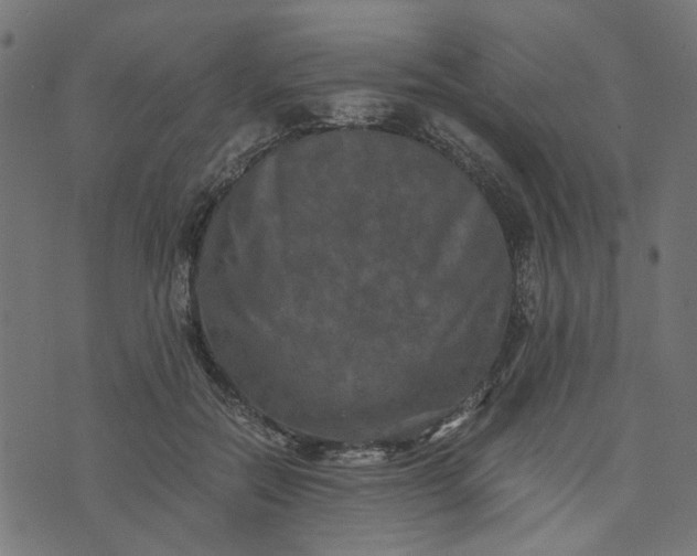 X0000073720554200608171206