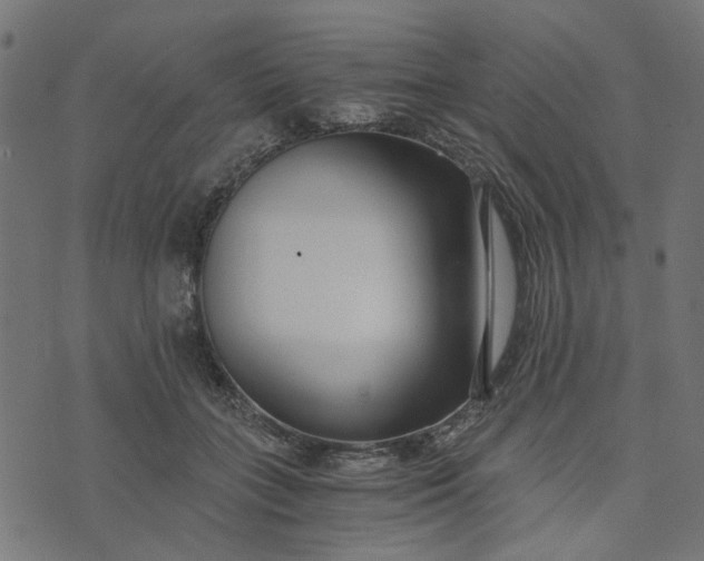 X0000073720555200608171206