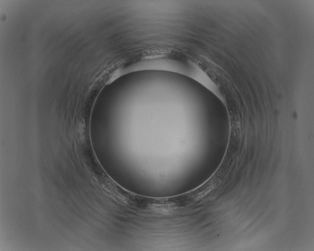 X0000073720556200608171206