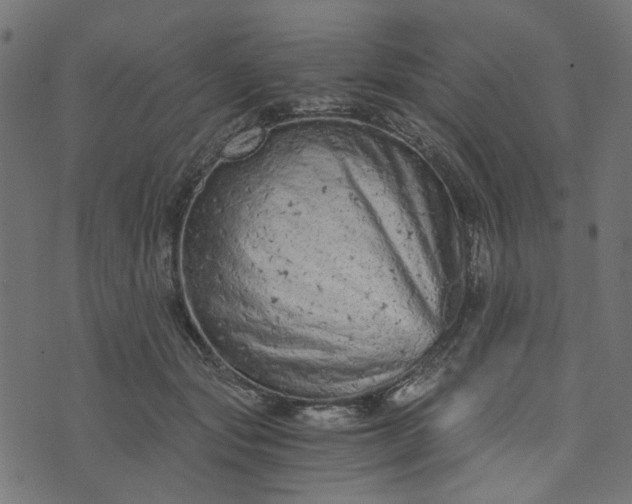 X0000073720557200608171206