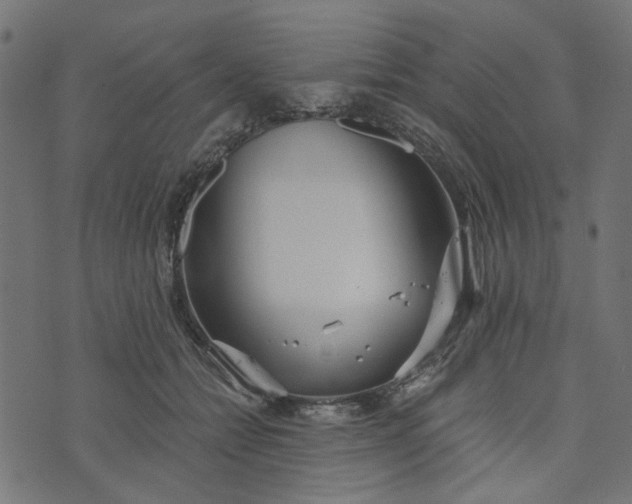 X0000073720558200608171206